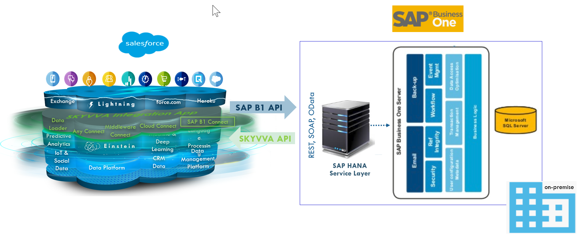 SAP Business One on-premise integration with SKYVVA